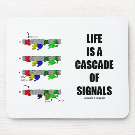 生命はです信号(信号のTransduction)の滝 マウスパッド (正面)