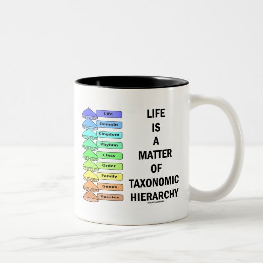 生命はですTaxonomic階層(生物学)の問題 ツートーンマグカップ (右)