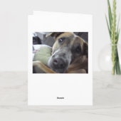 生命はエリマキシギです カード (裏面)