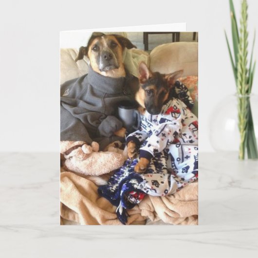 生命はエリマキシギです カード (正面)