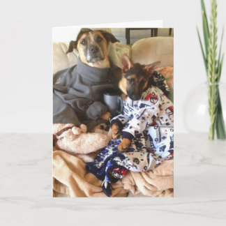 生命はエリマキシギです カード