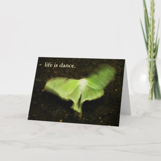 生命はダンスです カード (正面)