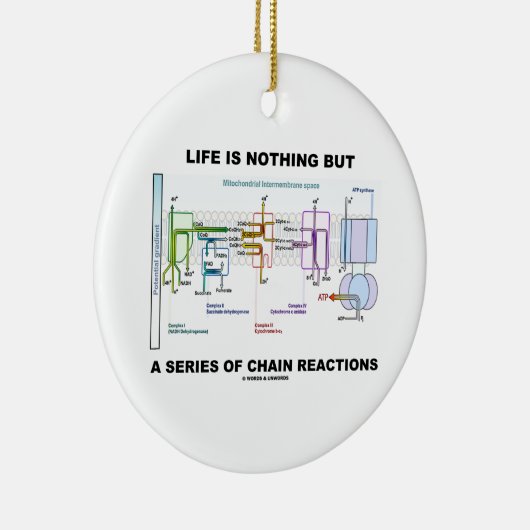 生命は一連の連鎖反応です セラミックオーナメント (右)
