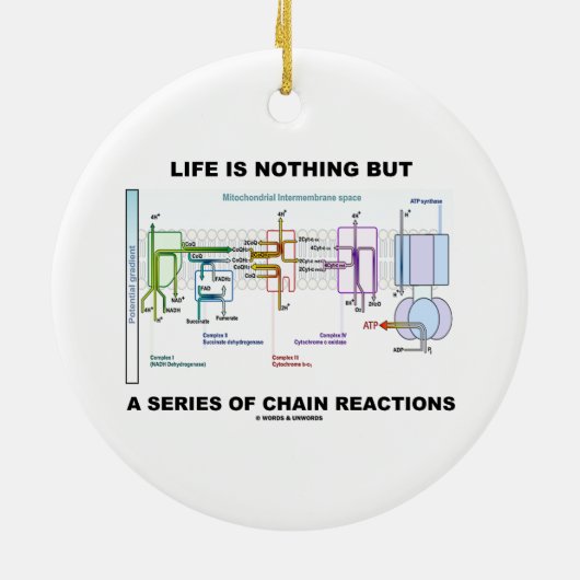 生命は一連の連鎖反応です セラミックオーナメント (裏面)