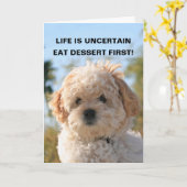 生命は不確か、食べますデザートFを…です カード (黄色い花)