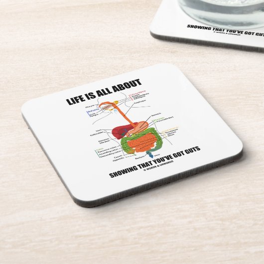 生命は内臓を持っていることの提示について完全にです コースター (左側)