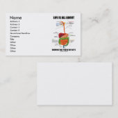 生命は内臓を持っていることの提示について完全にです 名刺 (正面/裏面)