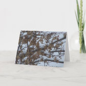 生命は堅く、冷たい場合もあります カード (裏面)