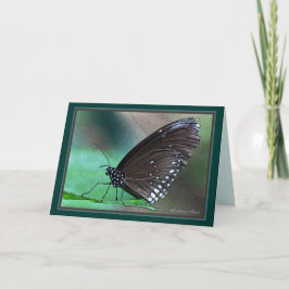 *生命は永遠である：内の死の美しいメタファー カード