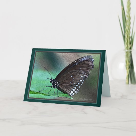 *生命は永遠である:内の死の美しいメタファー カード (正面)