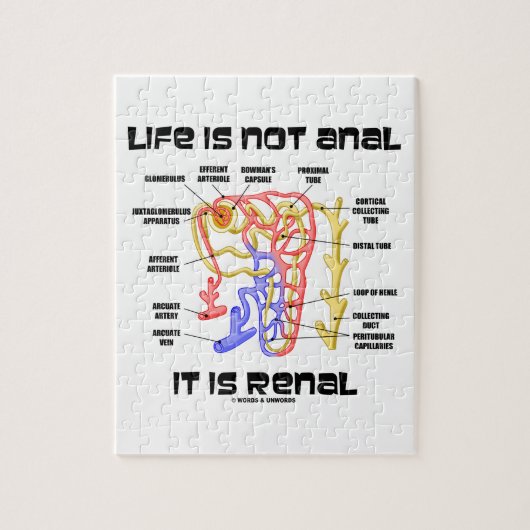 生命は肛門それです腎臓ではないです(腎臓Nephron) ジグソーパズル (縦)