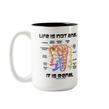 生命は肛門それです腎臓ではないです(腎臓Nephron)