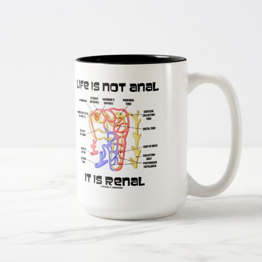 生命は肛門それです腎臓ではないです(腎臓Nephron) ツートーンマグカップ (右)