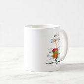 生命は要求します内臓(消化系)の多くを コーヒーマグカップ (正面右)