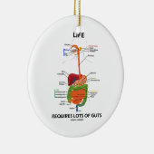 生命は要求します内臓(消化系)の多くを セラミックオーナメント (右)