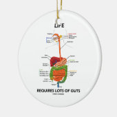 生命は要求します内臓(消化系)の多くを セラミックオーナメント (左)