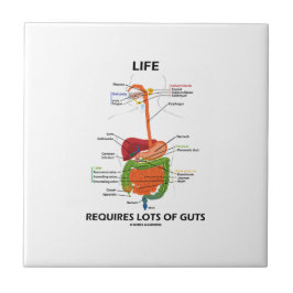 生命は要求します内臓(消化系)の多くを タイル