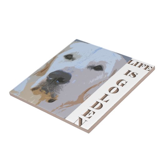 生命はGOLDEN-TILEです タイル (側面)