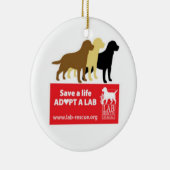 生命を採用します実験室の陶磁器の円形のオーナメントを救って下さい セラミックオーナメント (右)