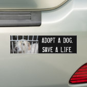 生命を救って下さい バンパーステッカー (車上)