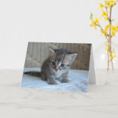 生命を救って下さい、救助猫の挨拶状を採用して下さい カード (黄色い花)