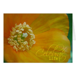 生命を祝って下さい