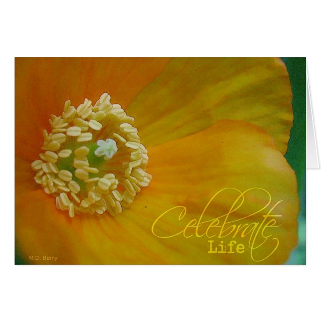 生命を祝って下さい (正面横)