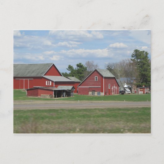 生命ハート ポストカード (正面)