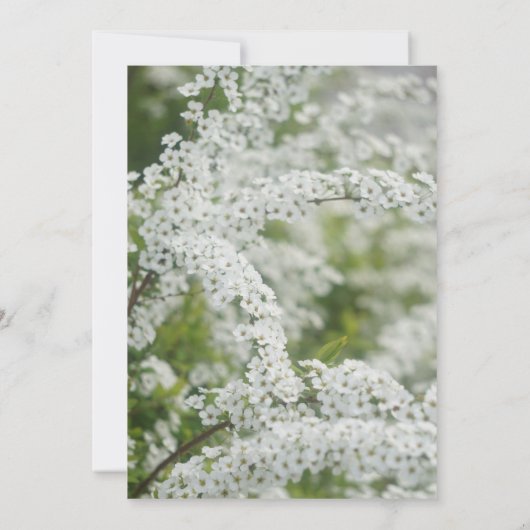 生命ベビーの呼吸を祝う告別式 招待状 (裏面)