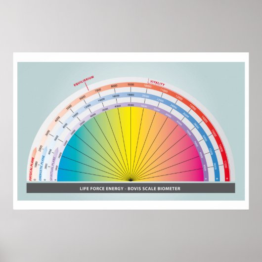 生命力エネルギーを測定するためのボビススケール ポスター (正面)