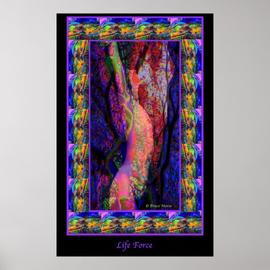 生命力 ポスター (正面)