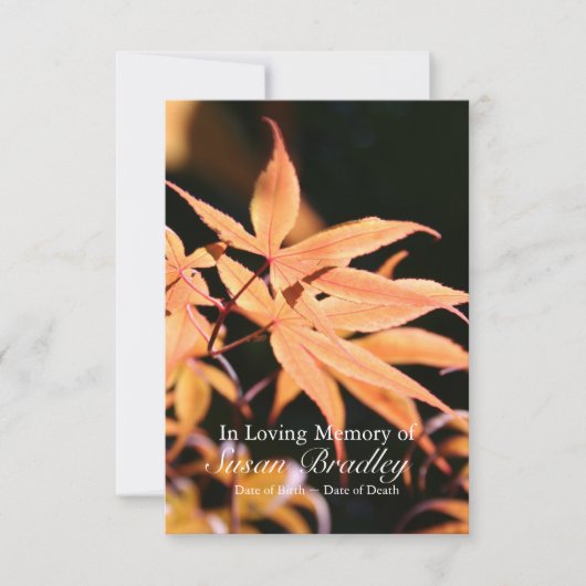 生命告別式のカエデの木2のお祝い 招待状 (正面)