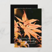 生命告別式のカエデの木2のお祝い 招待状 (正面/裏面)