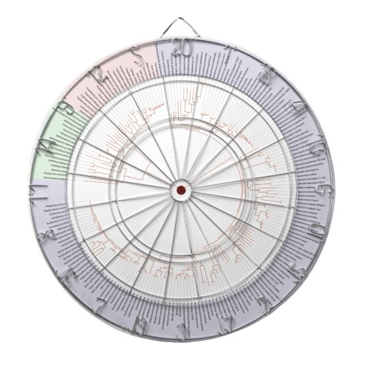 生命図の系統樹 ダーツボード (正面)