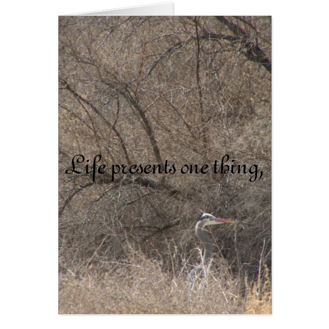 生命変更 (正面)