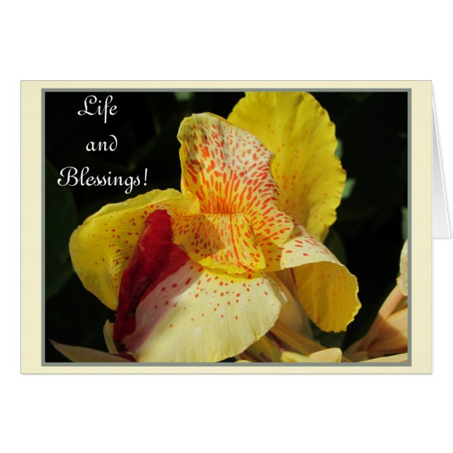 生命恵み! (正面横)