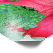 生命開花 フォトプリント            (角)