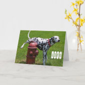 生命 カード (黄色い花)