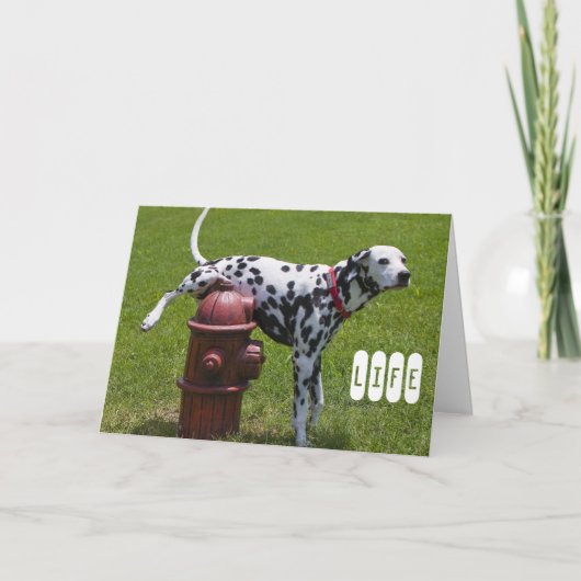 生命 カード (正面)