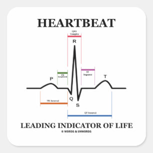 生命(ECG/EKG)の心拍の先行指標 スクエアシール