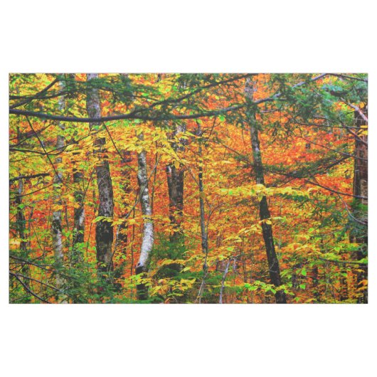 生地の美しい紅葉 ファブリック (ヤード)