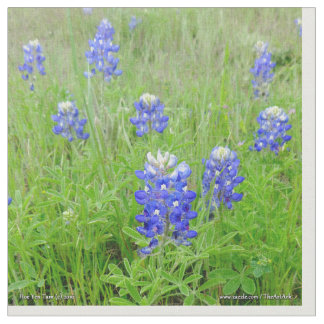 生地-青いボンネット ファブリック