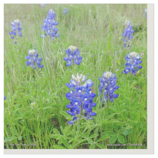 生地-青いボンネット ファブリック (クローズアップ)