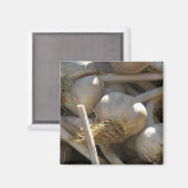 生型枠 マグネット (正面/裏面)