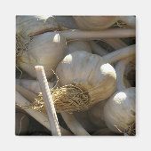 生型枠 マグネット (正面)