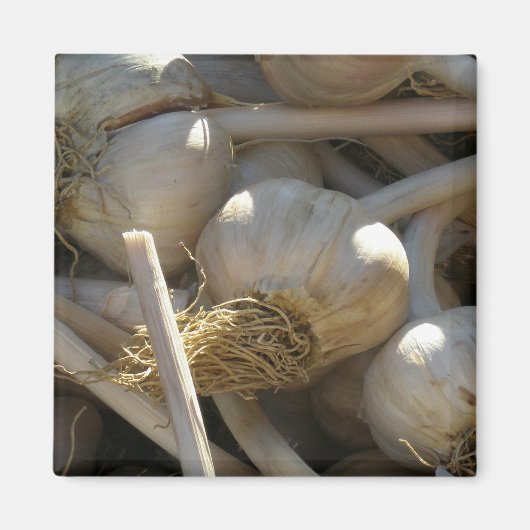 生型枠 マグネット (正面)