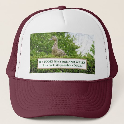 生垣に座っもした鴨は鴨のように見える キャップ (正面)