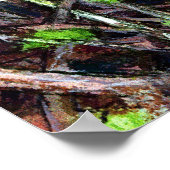 生垣のロビン ポスター (角)