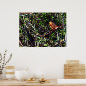 生垣のロビン ポスター (キッチン)