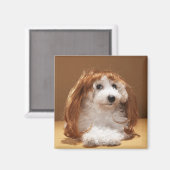 生姜かつらを着た子犬 マグネット (正面/裏面)